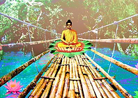 Bridge to Buddha