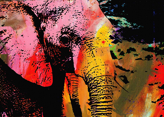 THE LAST ELEPHANT