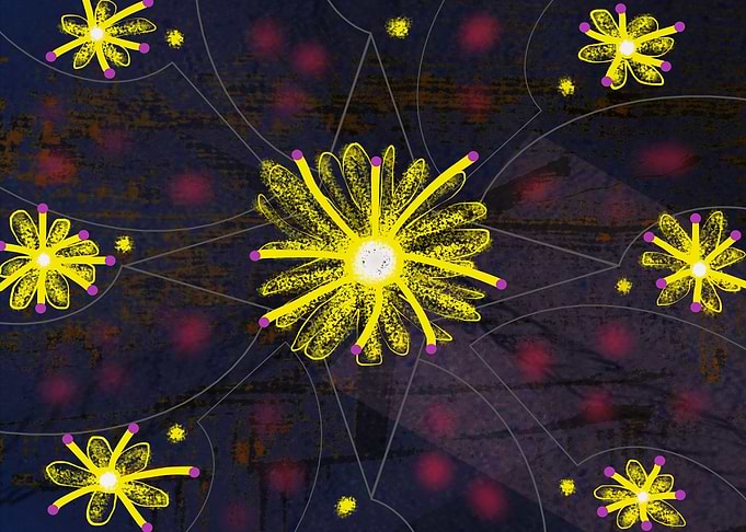Lotus Daisy