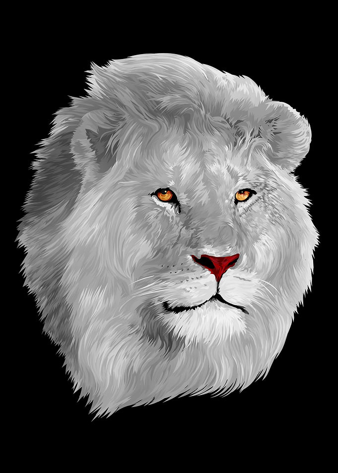 White Lion
