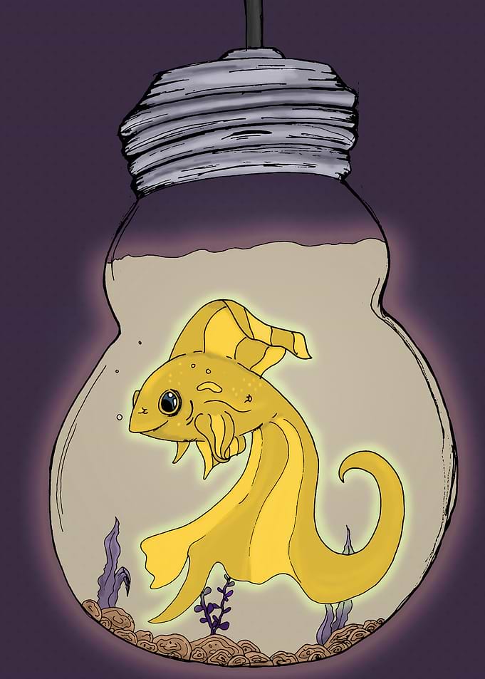 Nautral Lighting