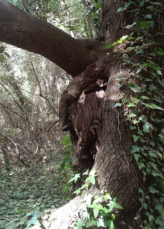 Awakening of Giants