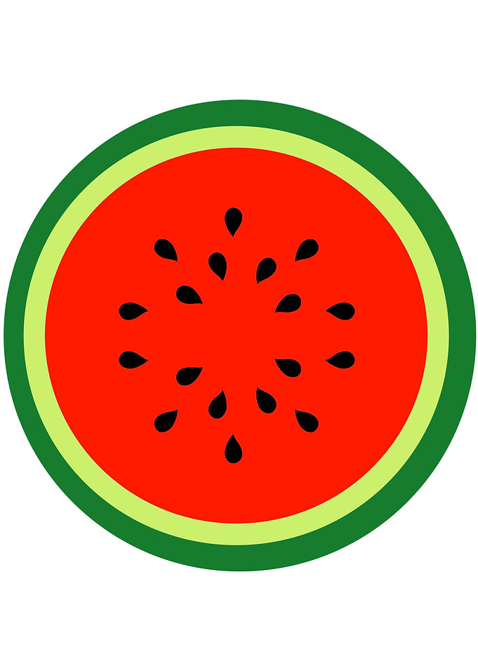 Watermelon Summer fruit