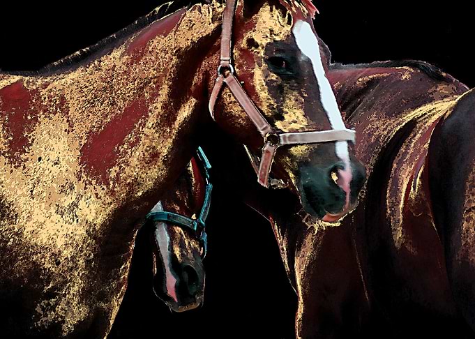 Horse Art Portrait