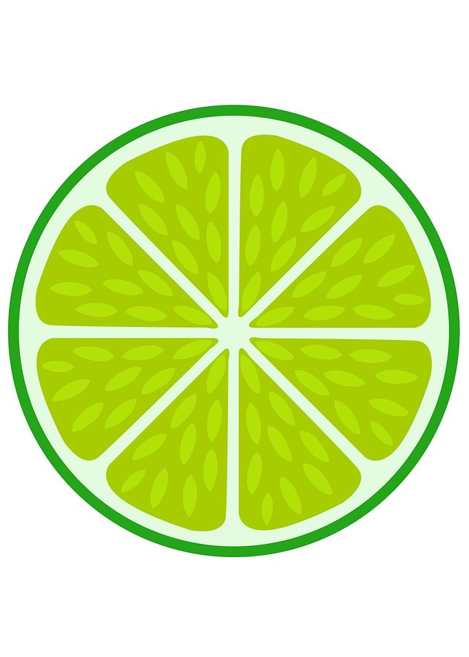 Green lime slice citrus