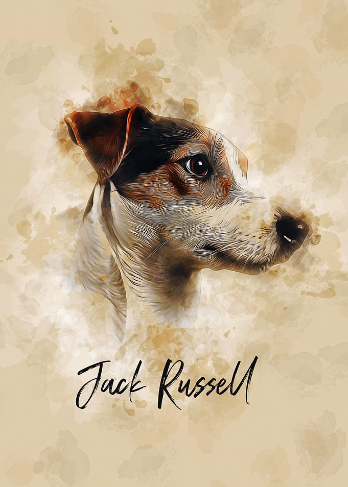 Jack Russell
