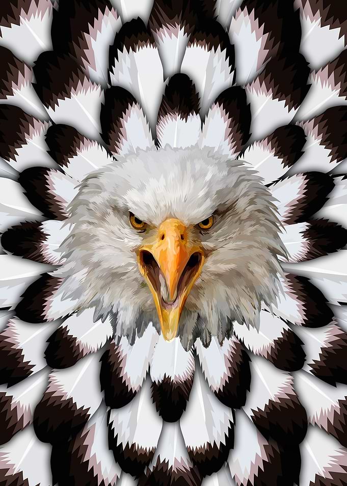 Eagle And Feather Pattern