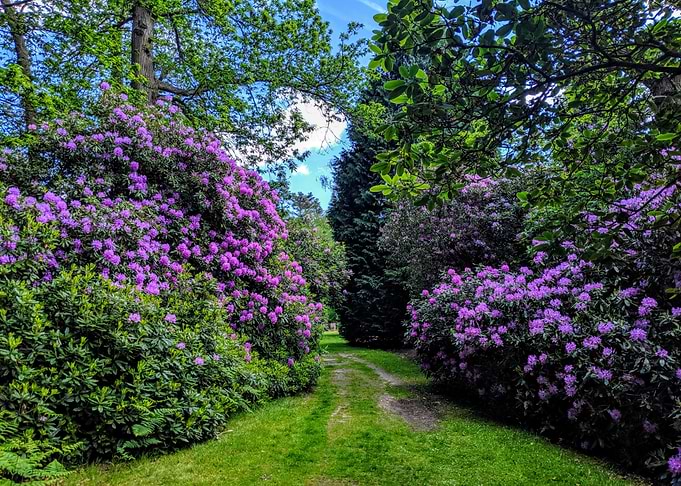 Virginia Gardens