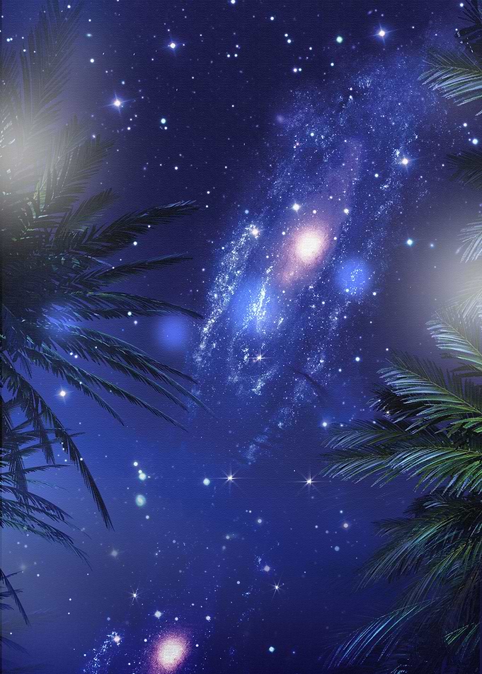 Palms Night