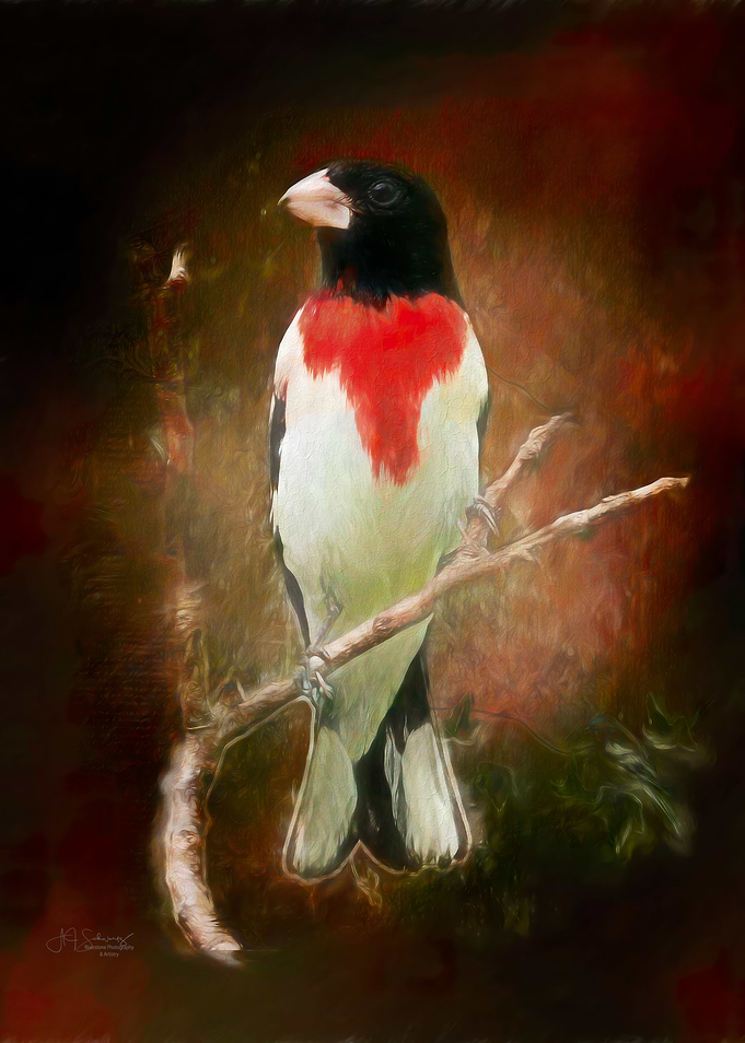 Artistic Grosbeak