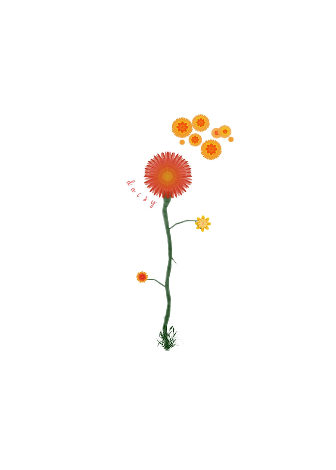 Red Daisy