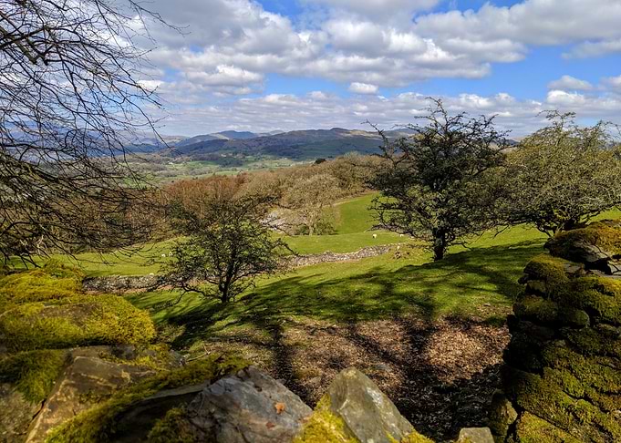 Windermere Landscape