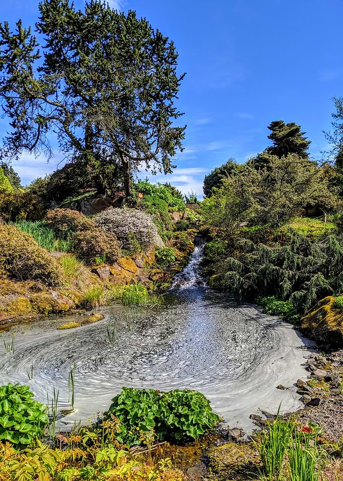Pond Life