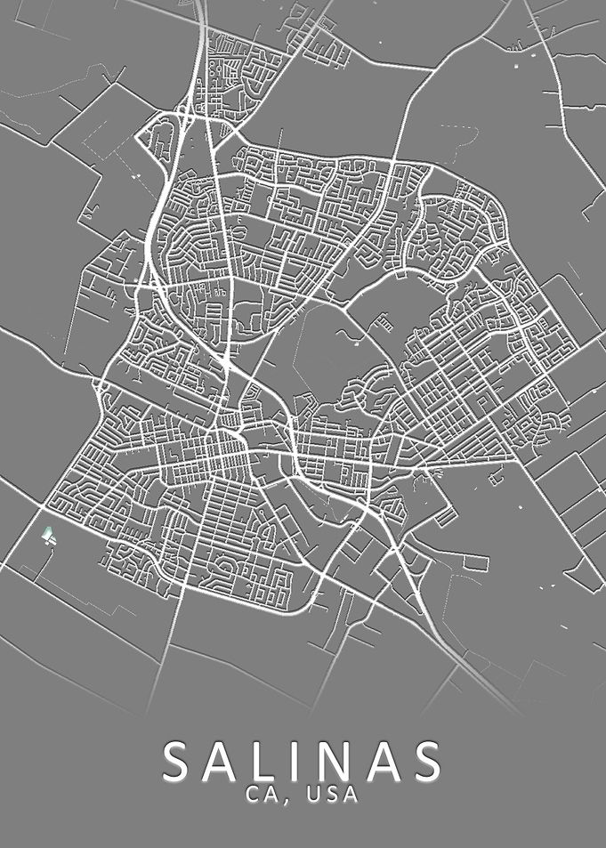 Salinas CA USA City Map