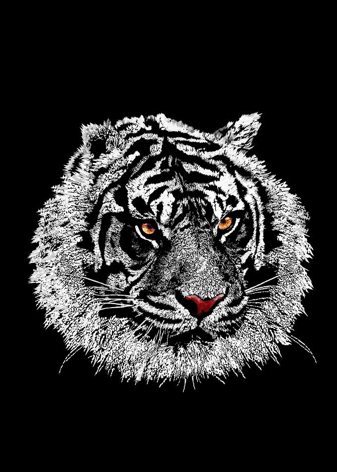 White Tiger