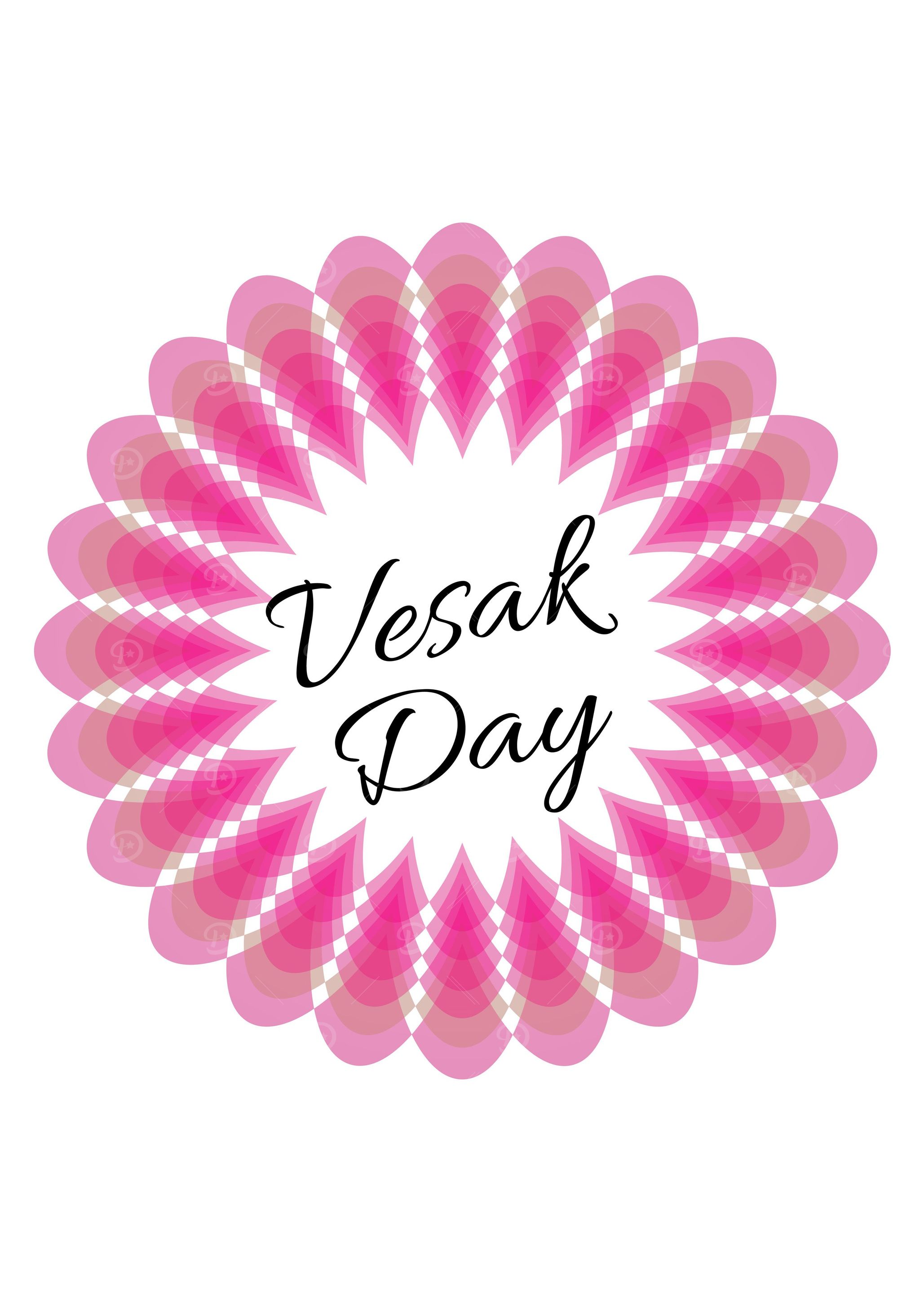 Vesak day pink lotus