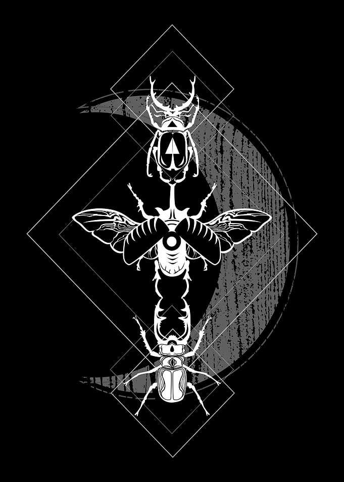 Beetle Moon