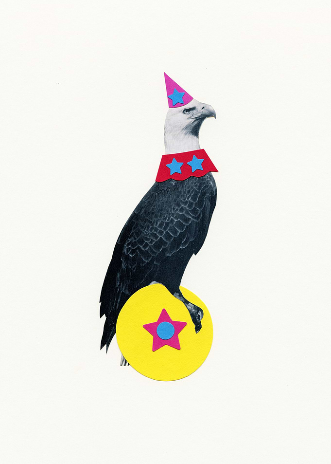 Animal Circus Part 2