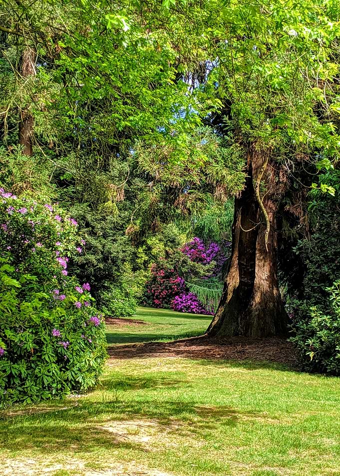 Fairytale Garden