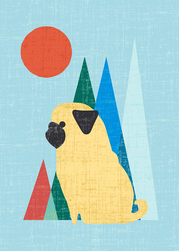 Waiting for You Pug