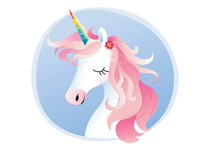 Unicorn rainbow horn