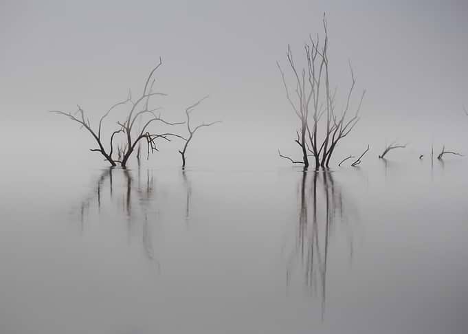 Reflections of the past