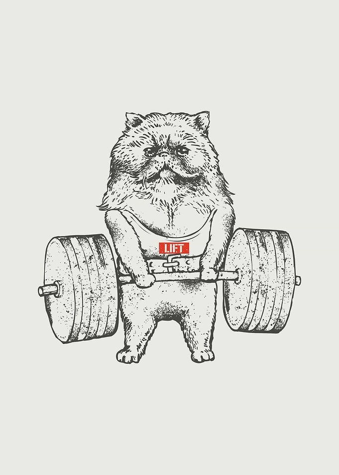 Cat Lift