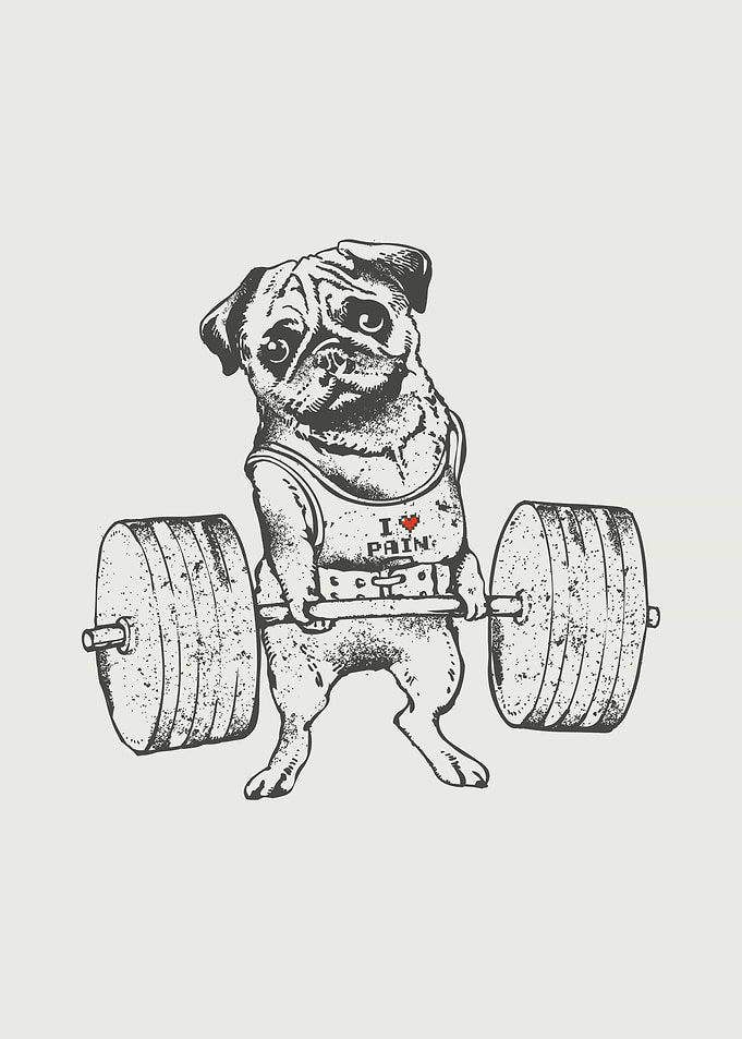 Pug Lift