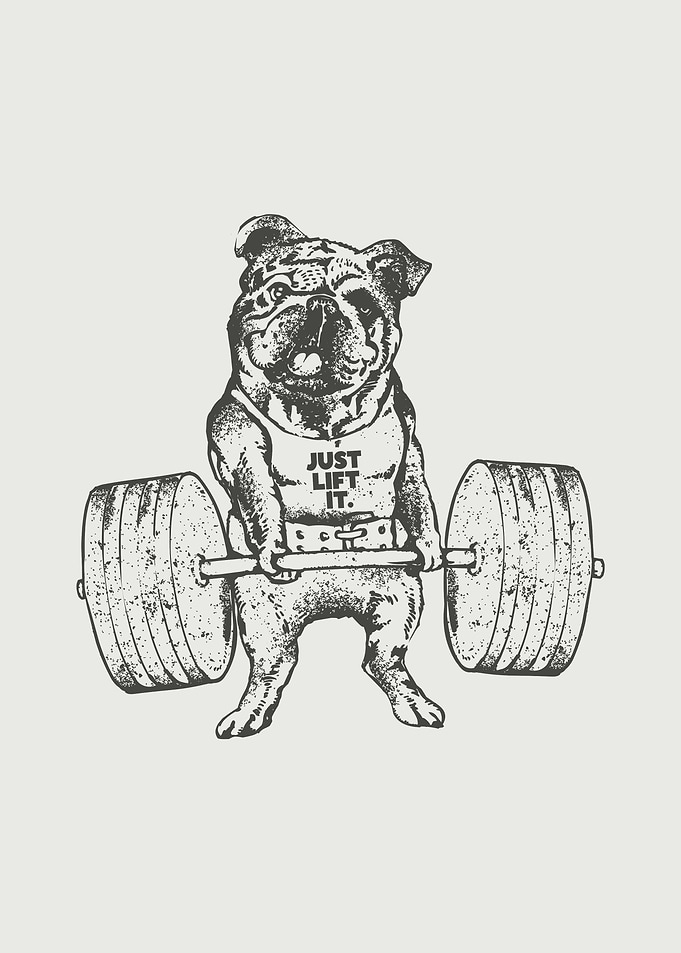 English Bulldog Lift