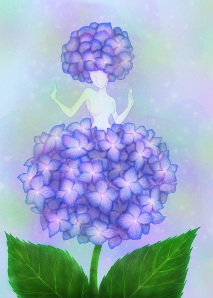 The Grace of Hydrangea