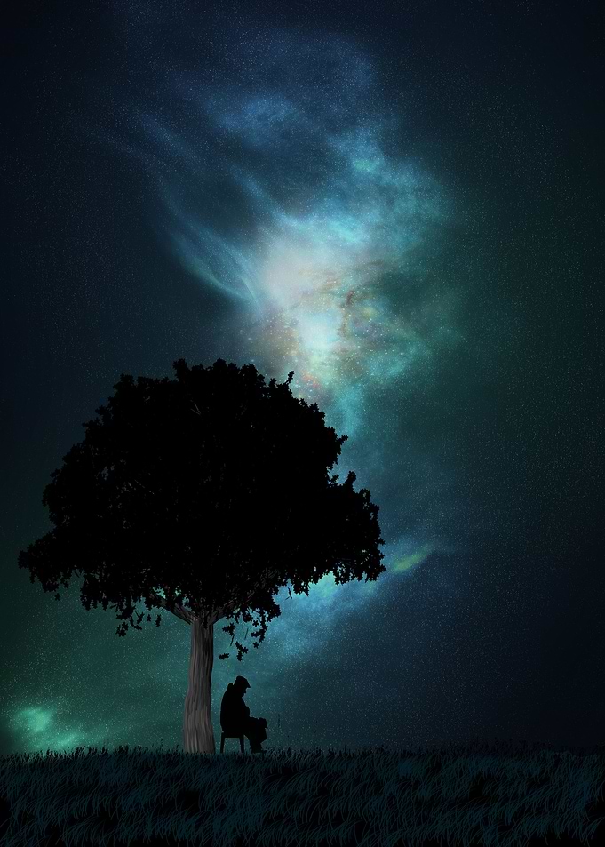 rthe man and the tree