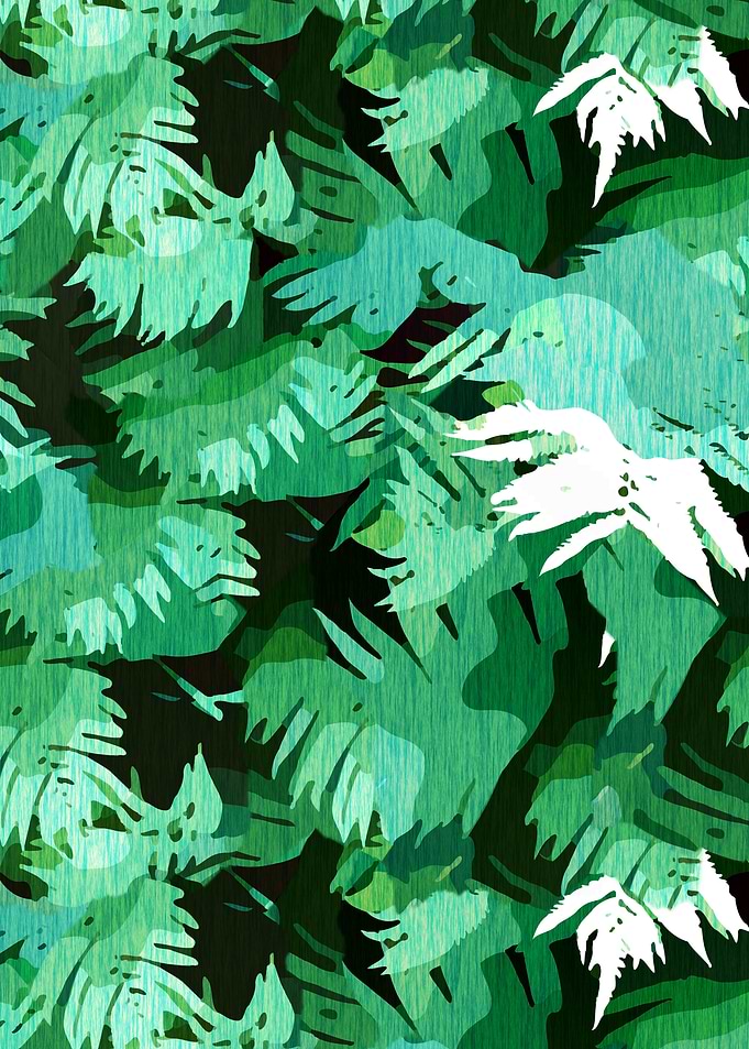 Tranquil Forest