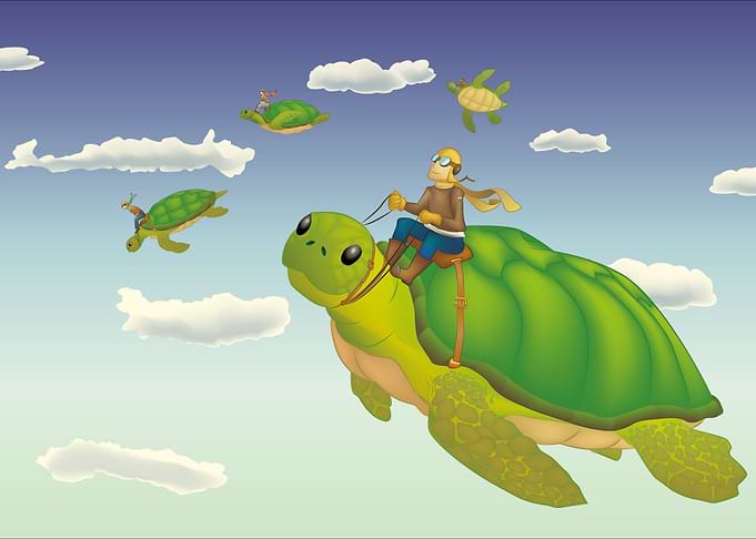 Flying turtels