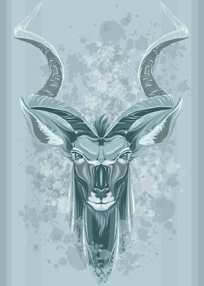 The Greater Kudu