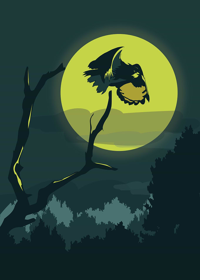 Night Owl