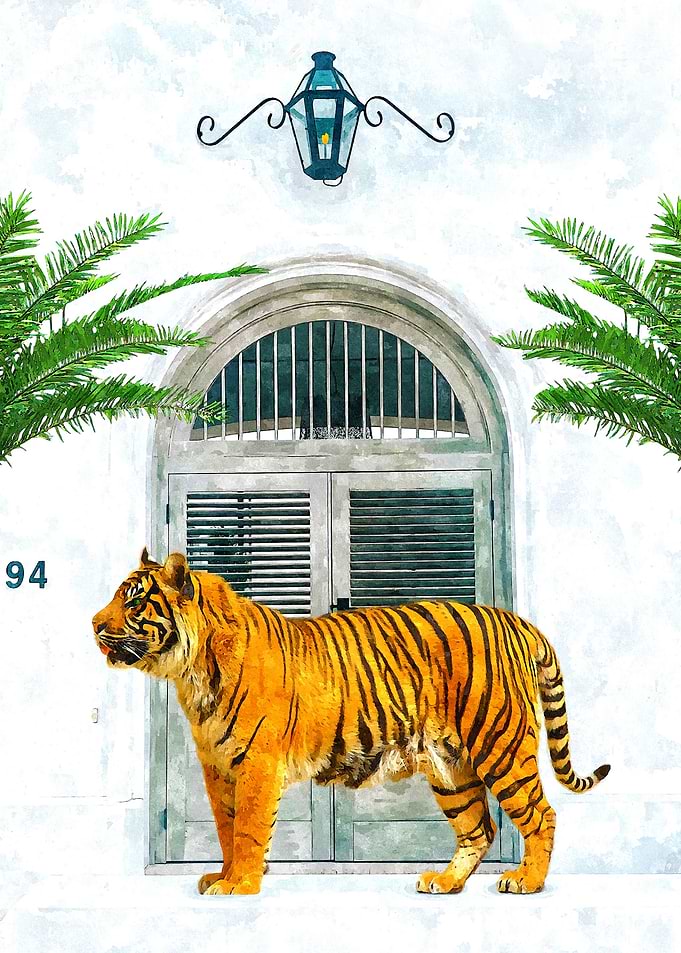 94 Tropical