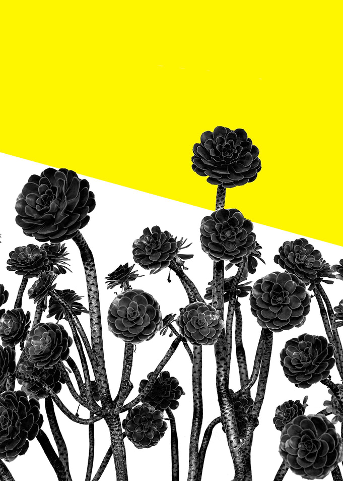black flowers