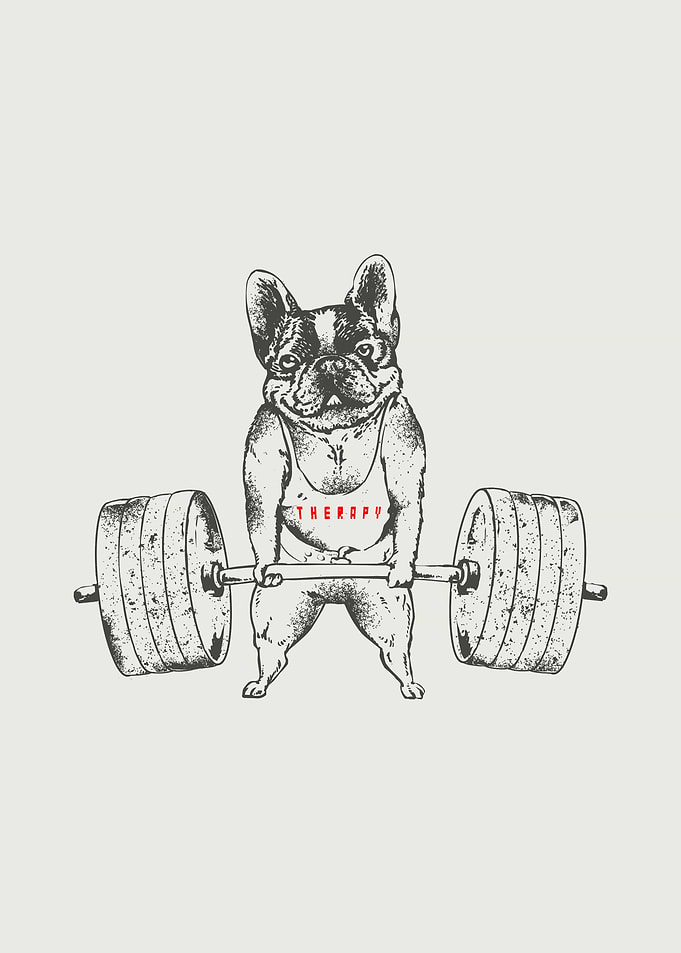 French Bulldog Lift