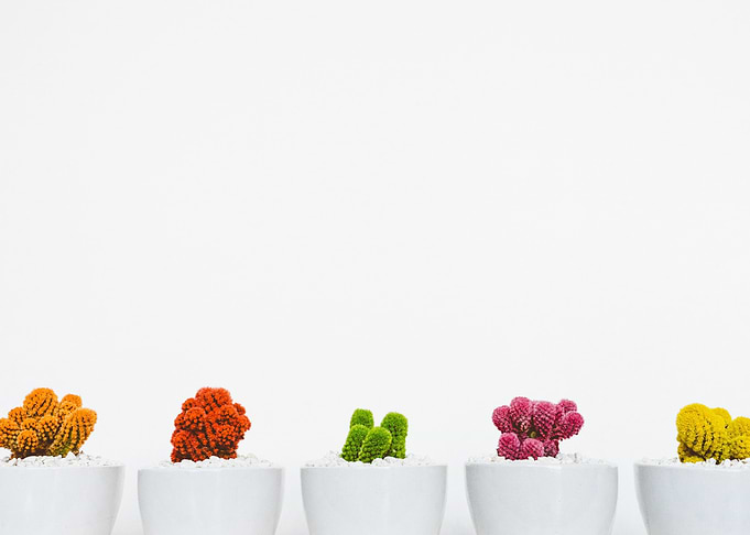 Colour Appeal