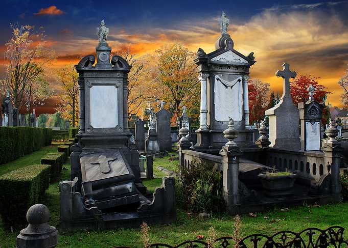 Grave yard Schoonselhof