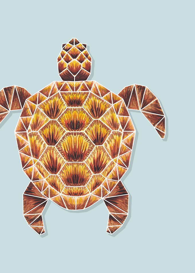 Origami Turtle