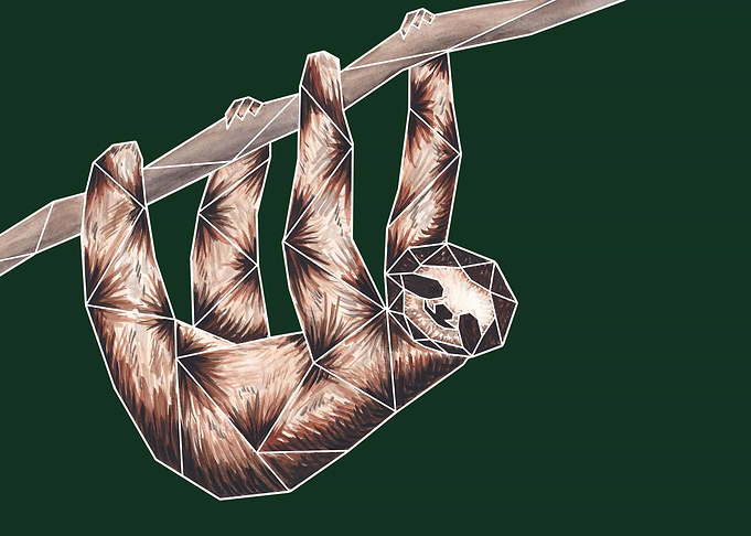 Origami Sloth