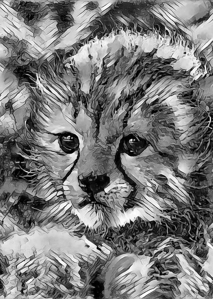 AnimalArtBW Cheetah 002