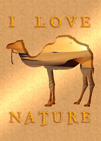 camel sx