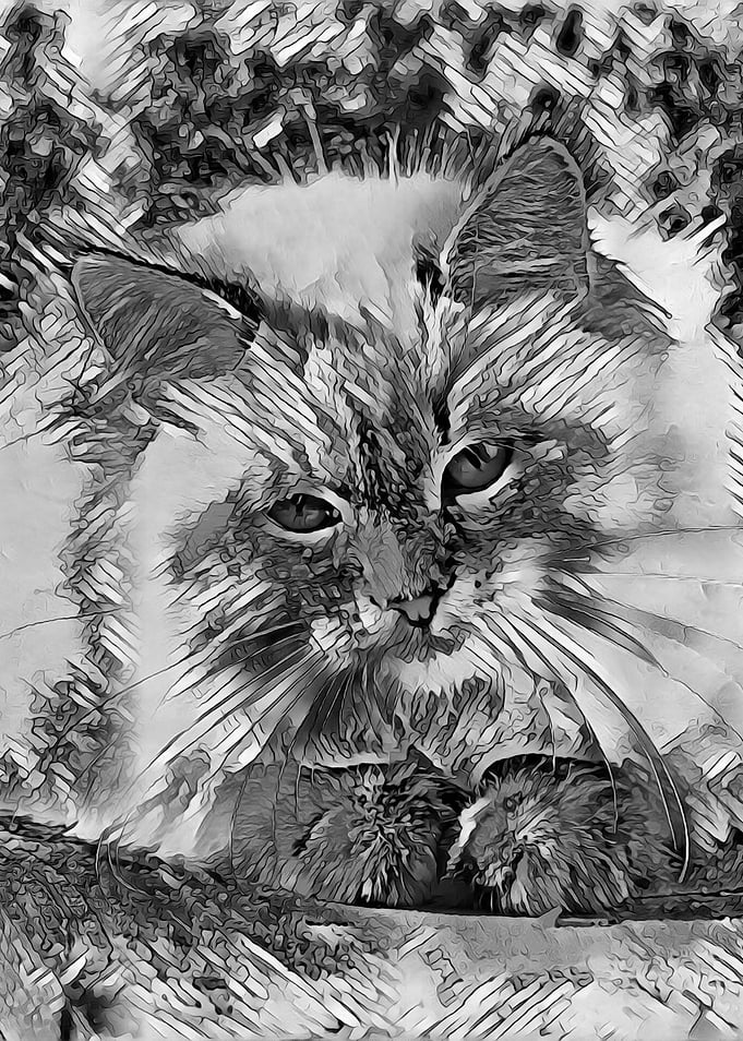 AnimalArtBW Cat 003