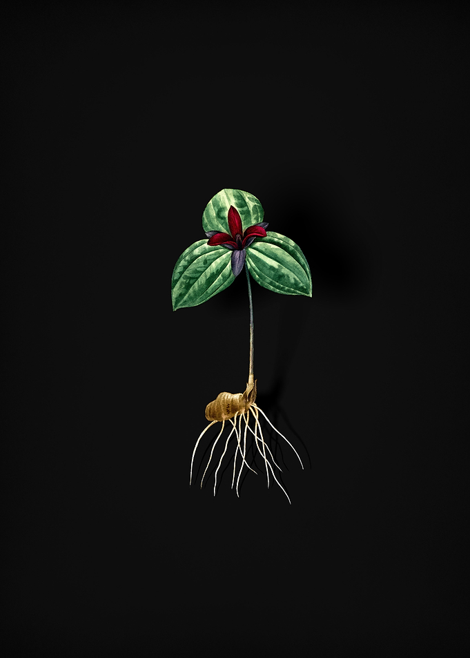 Vintage Tri Flower