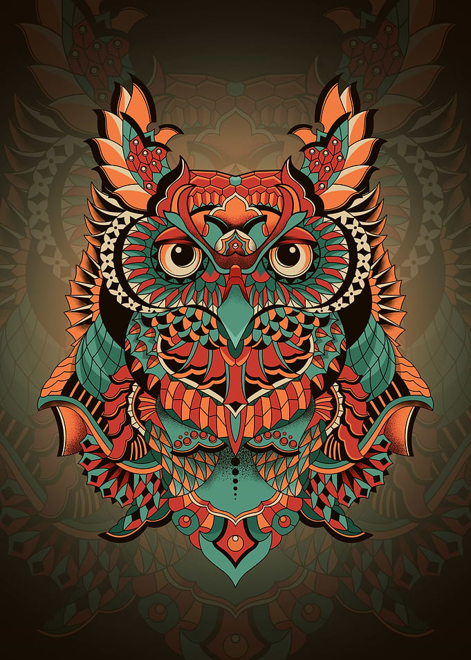 Owl Geometry