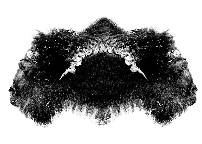 Bison Spirits
