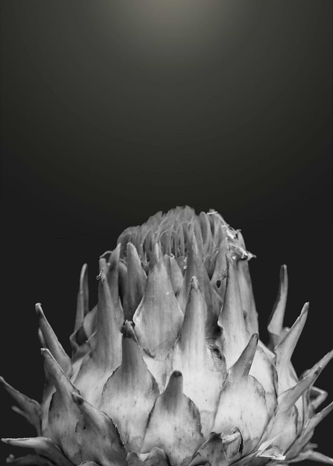 Floral Monotony 1