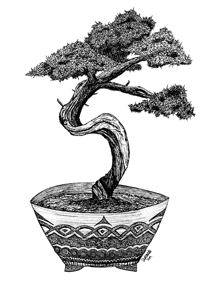 Balance and harmony